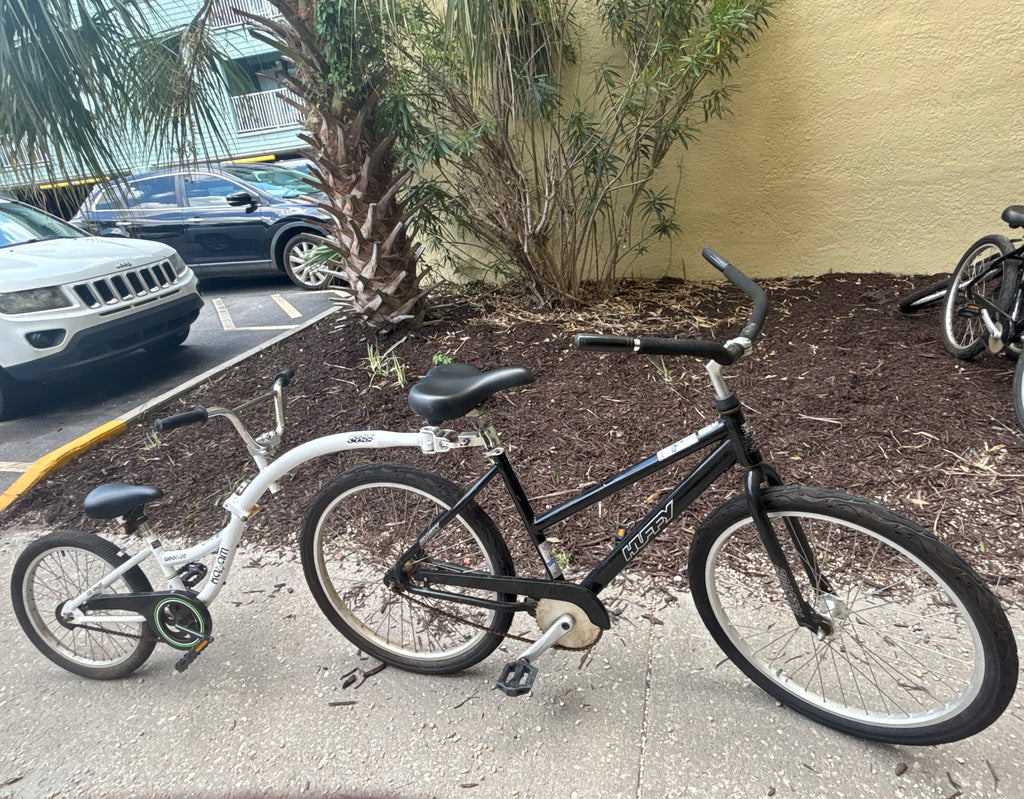 Adult Beach Cruiser w/Tag-A-Long (26")