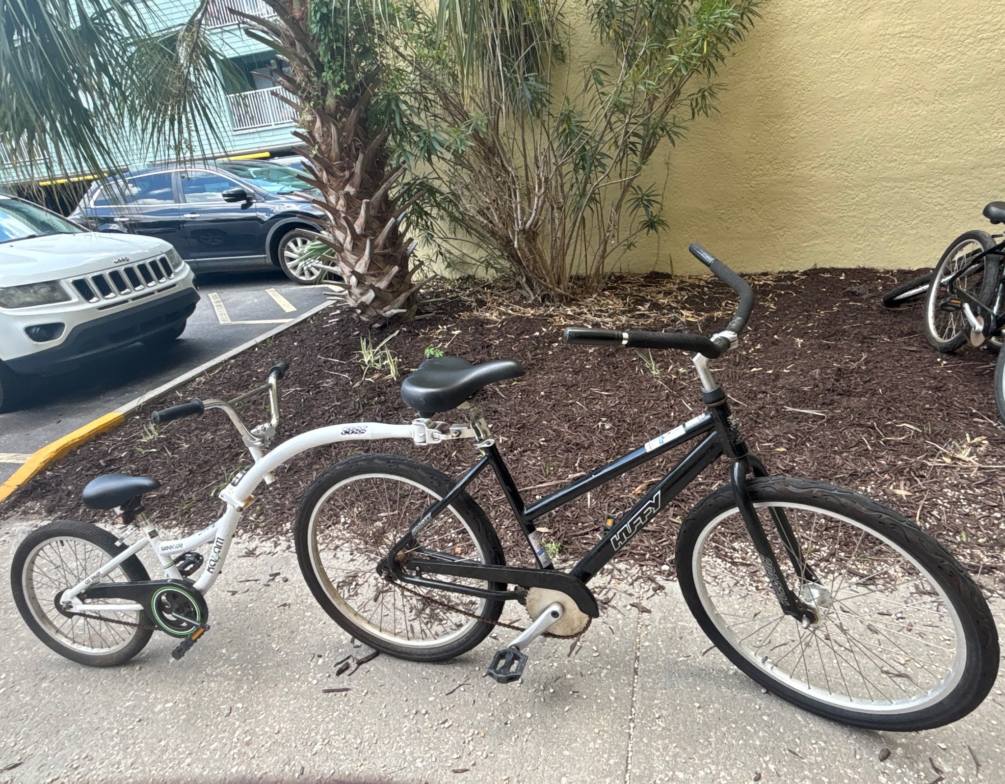 Adult Beach Cruiser w/Tag-A-Long (26")