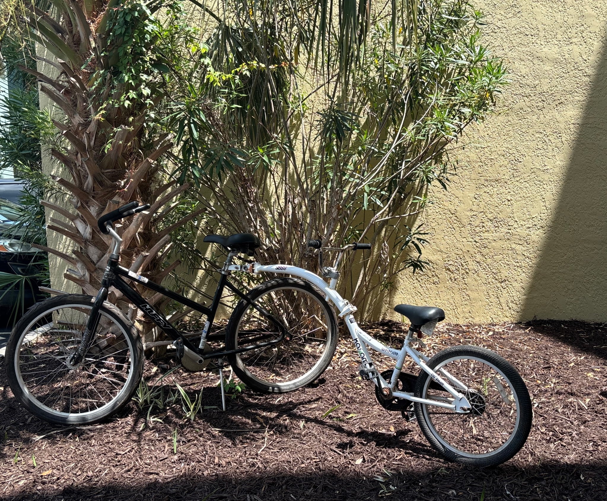 Adult Beach Cruiser w/Tag-A-Long (26")