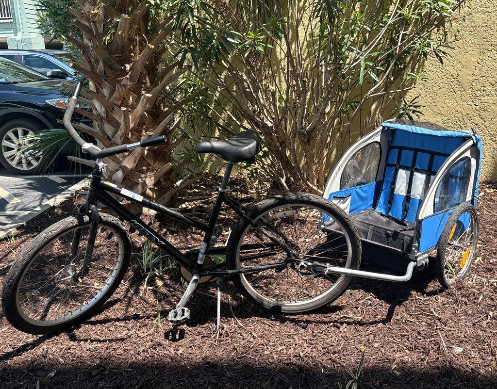Adult Beach Cruiser w/Cargo Carrier (26")