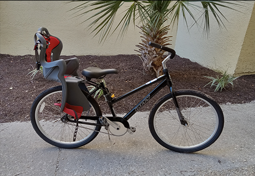 Adult Beach Cruiser w/Baby Seat (26")