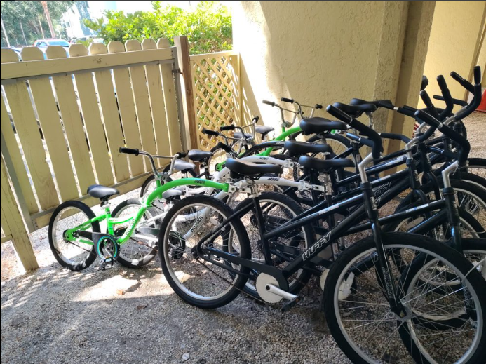 Adult Beach Cruiser w/Tag-A-Long (26")