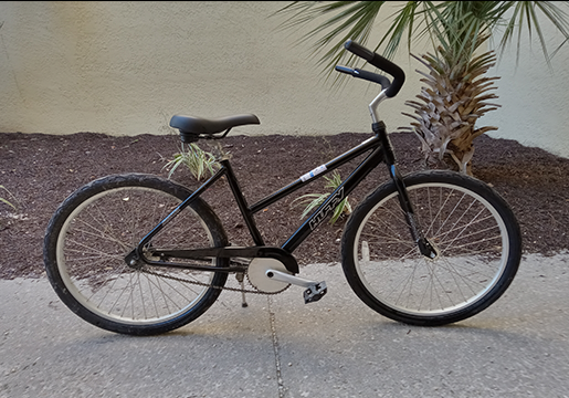 Adult Beach Cruiser (24")
