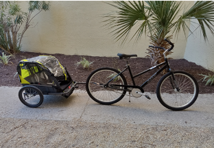 Adult Beach Cruiser w/Cargo Carrier (26")