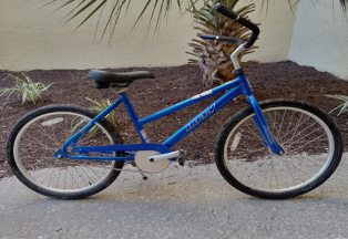 Kids' Beach Bike (16")